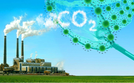 Достижение углеродной нейтральности: эксперименты в климатической политике