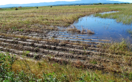 В Иркутский регион поступило более 296 млн рублей для помощи пострадавшим от паводка аграриям