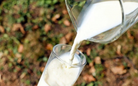 В Иркутской области на поддержку трех молочных ферм направят 83,8 млн рублей