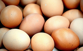 В Иркутской области вновь начали расти в цене яйца
