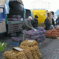 Власти Иркутска откроют сельскохозяйственные ярмарки по всему городу