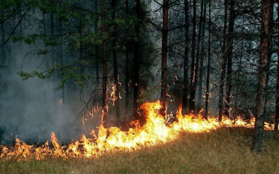 К тушению пожаров в иркутских лесах подключатся недропользователи и линейщики