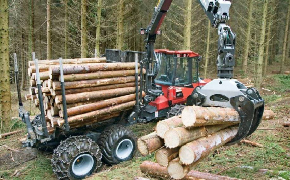 Иркутский опыт маркировки древесины рекомендован к применению в других регионах