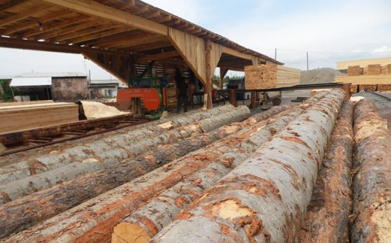 Два лесопромышленных проекта Иркутской области получат льготные кредиты