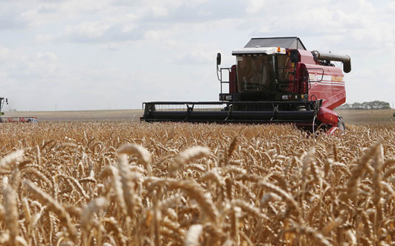 В Иркутской области в 2020 году будет собран миллион тонн зерна