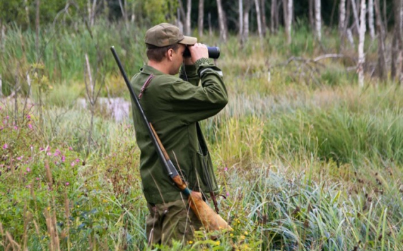 В Иркутской области могут запретить охоту на пернатую дичь