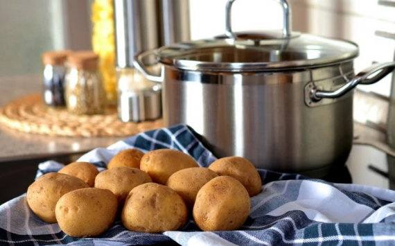 В Иркутской области выведен новый сорт картофеля в рамках работы по импортозамещению