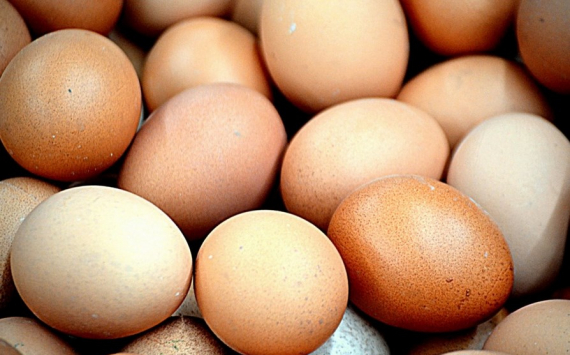 В Иркутской области произвели более 1 млрд яиц