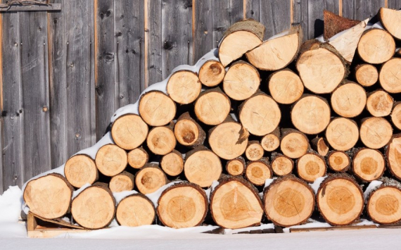 В Иркутской области займутся развитием переработки низкосортной древесины
