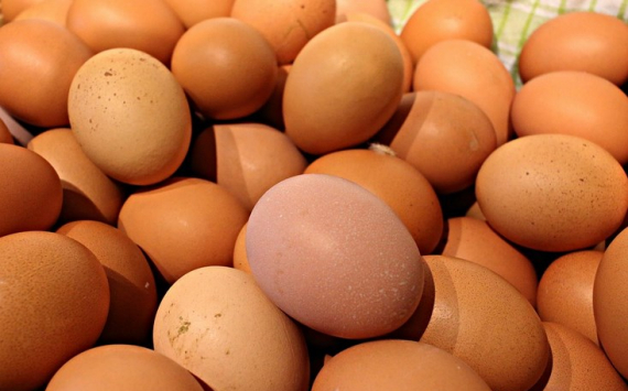 В Иркутской области яйца за неделю подешевели на 2%