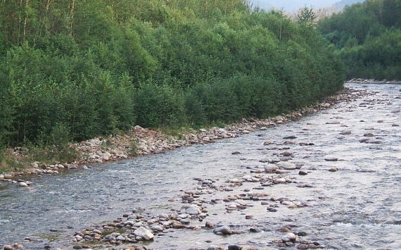 Приангарье получит более 9,5 млн рублей на очистку русла реки Солзан