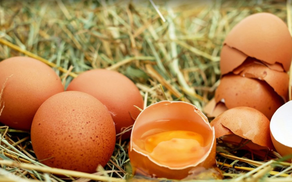 В Иркутской области выросли цены на куриные яйца и гречку