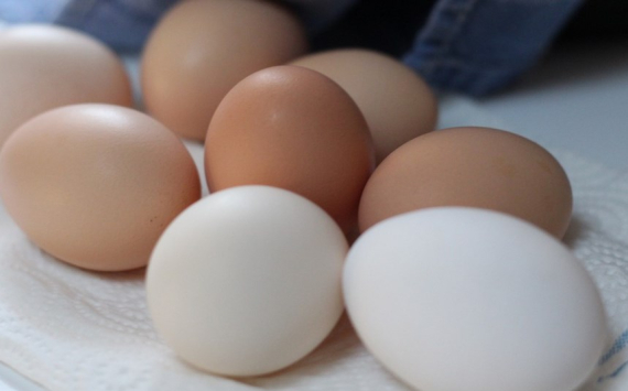 В Иркутской области цены на яйца зафиксируют до 1 апреля 2024 года