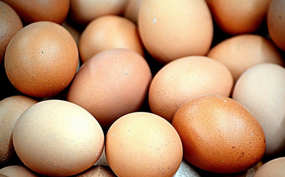 Власти Иркутской области нашли способ зафиксировать цены на яйца