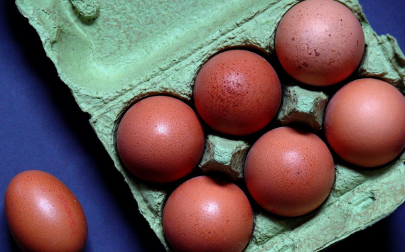 В Иркутской области цены на яйца снизились за последнюю неделю на 2,05%
