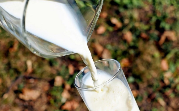 В Иркутской области выросло производство сырого молока