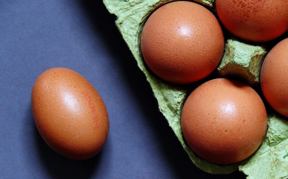 В Иркутской области производство куриных яиц выросло на 3%