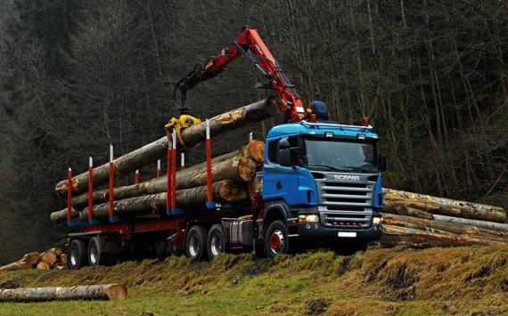 В Иркутской области сократилось количество экспортёров древесины