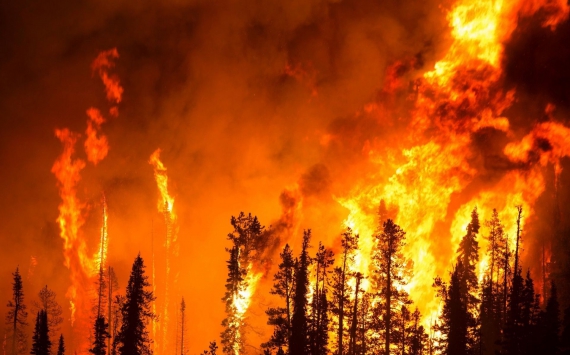Нарушителей правил лесной пожарной безопасности в Иркутской области оштрафовали на 22,5 млн рублей