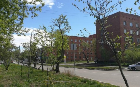 В Иркутске высадят сотни новых деревьев