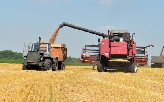 Иркутские сельхозпредприятия собрали более 200 тысяч тонн зерновых