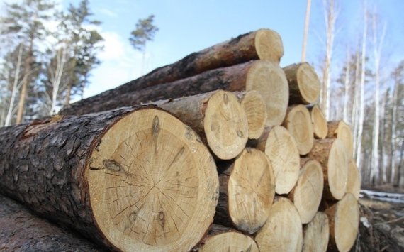 Финансирование иркутского лесного хозяйства превысит 10 млрд рублей